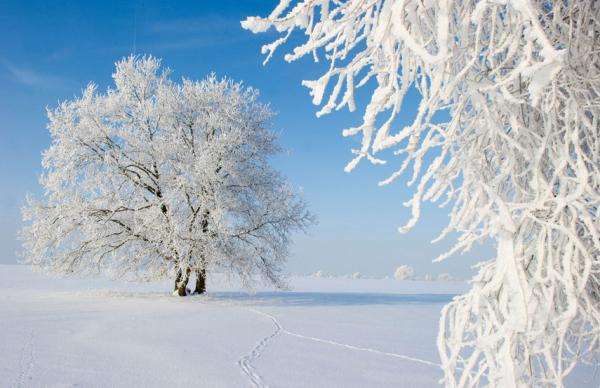 武漢美博會(huì)之武漢雪景