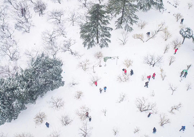 東湖之雪十年遇，武漢美博會(huì)帶你進(jìn)入“琉璃世界”三